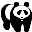 panda